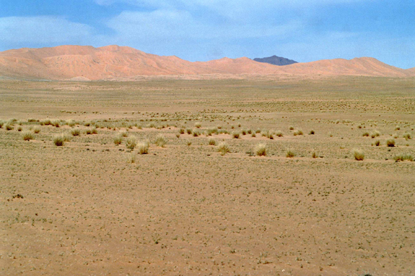 Paysage du Tassili n'Ajjer