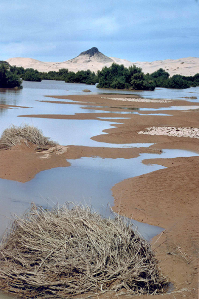 Algérie, paysage, Tassili n'Ajjer