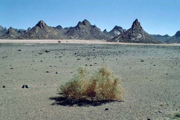 Ifedaniouene, Algérie