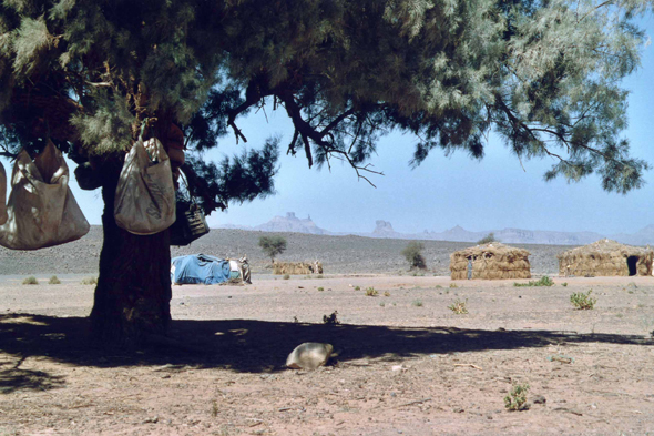 Un campement dans le Tassili n'Ajjer, Sahara