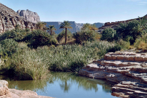 oasis d'Iherir
