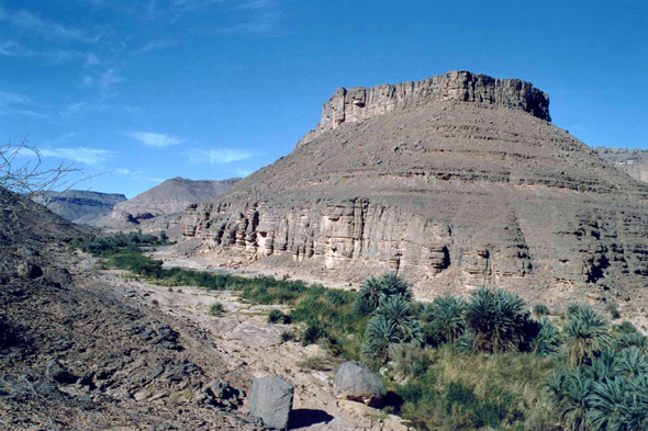 Iherir, oasis, Algérie