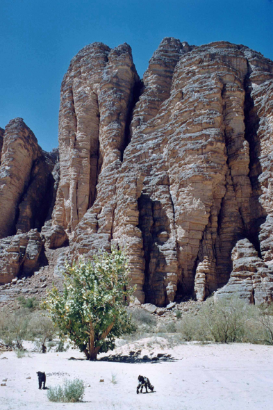 Essendilène, paysage