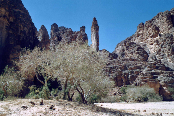 Essendilène, oasis, vue