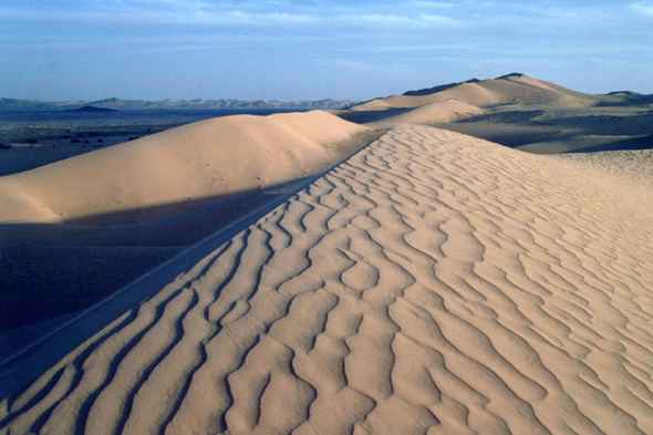 Magnifiques dunes dans le Sahara