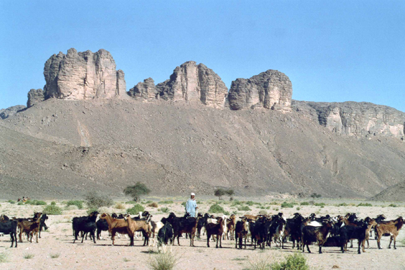 Nomades, Algérie, Essendilène