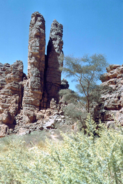 Joli paysage de l'Oued Ell