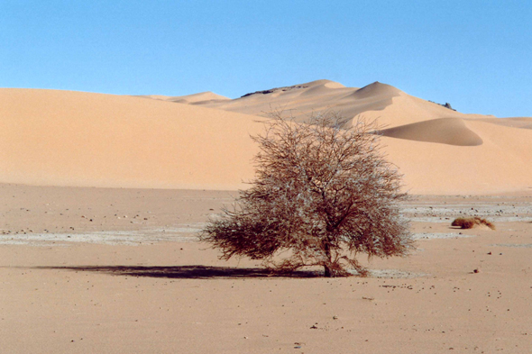 Moulanga, Sahara, Algérie