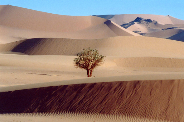 Moulanga, Sahara, paysage