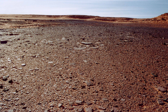 Vue de In Tehak dans le Sahara