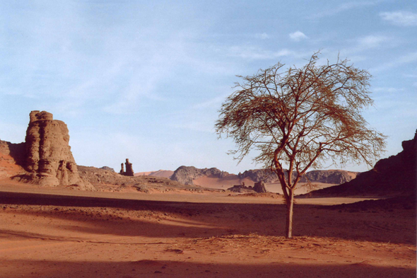 In Tehak, désert