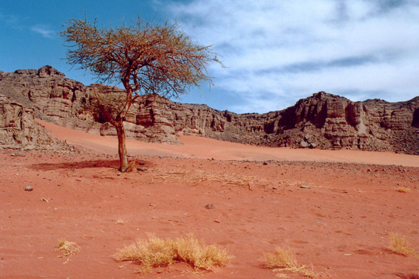 Ouan Naguen, paysage, Algérie