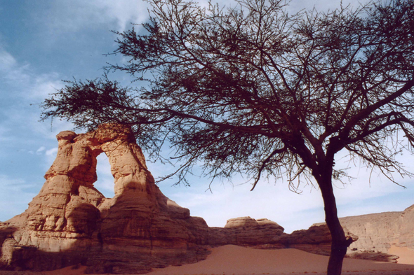 Téhé Tahossaïte, Algérie