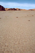 Les regs du Sahara