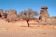 Reliefs montagneux d'In Tehak