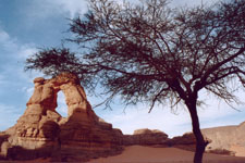 Symbolique des oasis