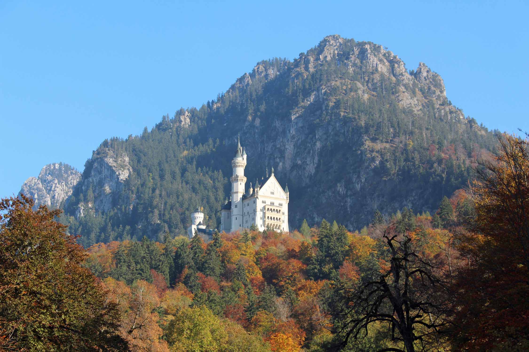 Le château de Neuschwanstein