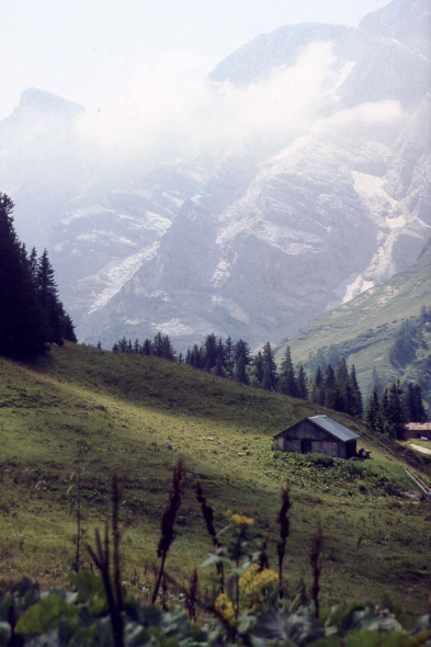 Le parc de Berchtesgaden en Allemagne