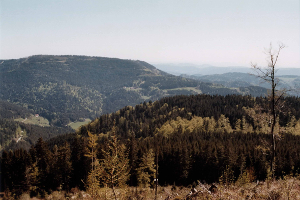 Paysage de la Forêt-Noire, Allemagne