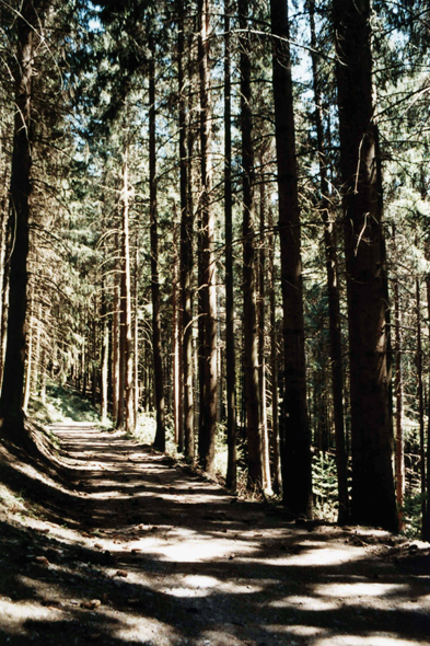 La Forêt-Noire en Allemagne