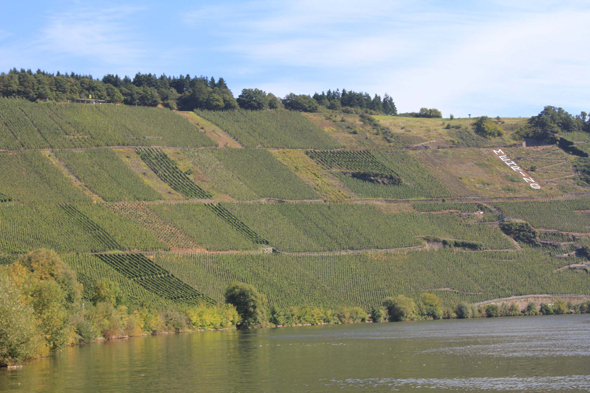 Mehring, Moselle