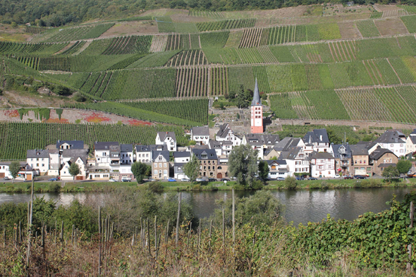 Burg, vallée de la Moselle
