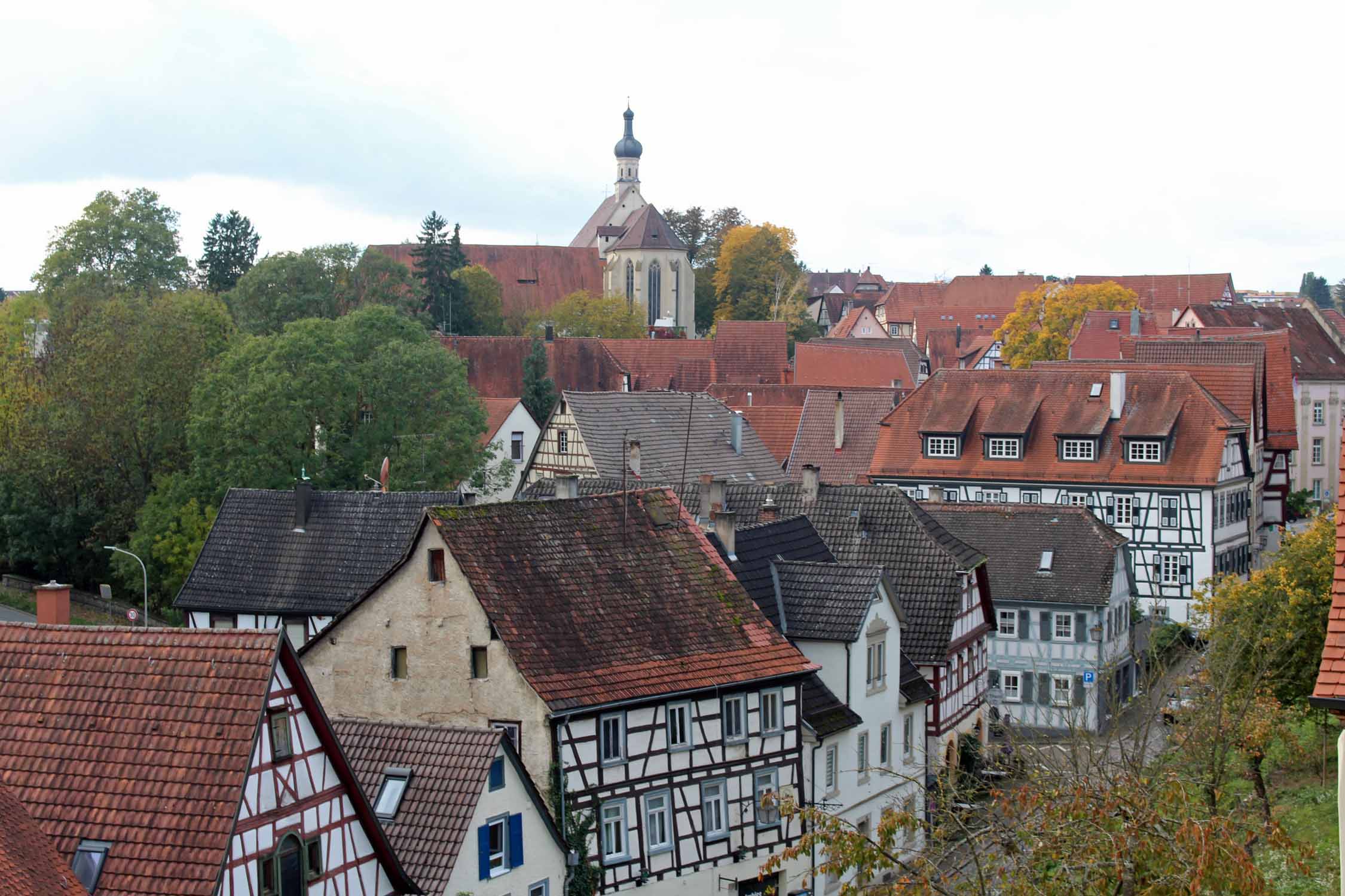 Bad Wimpfen, paysage