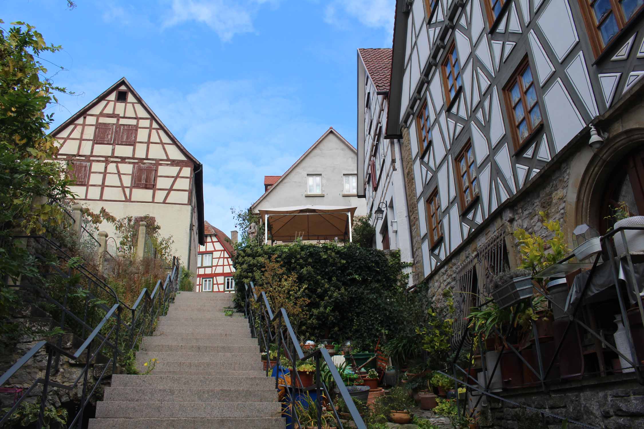 Bad Wimpfen, escalier fleuri