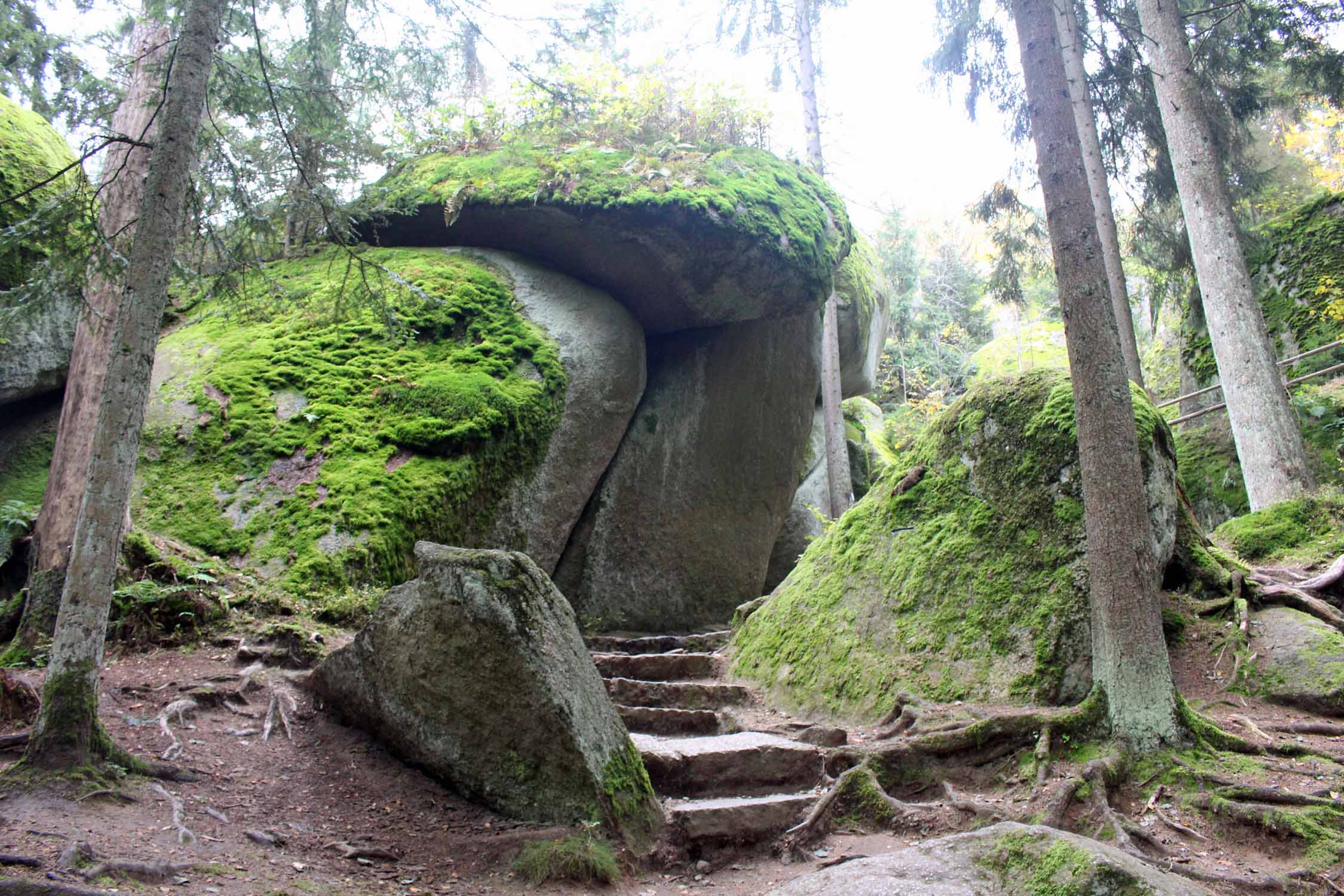 Forêt de Luisenburg, laryrinthe