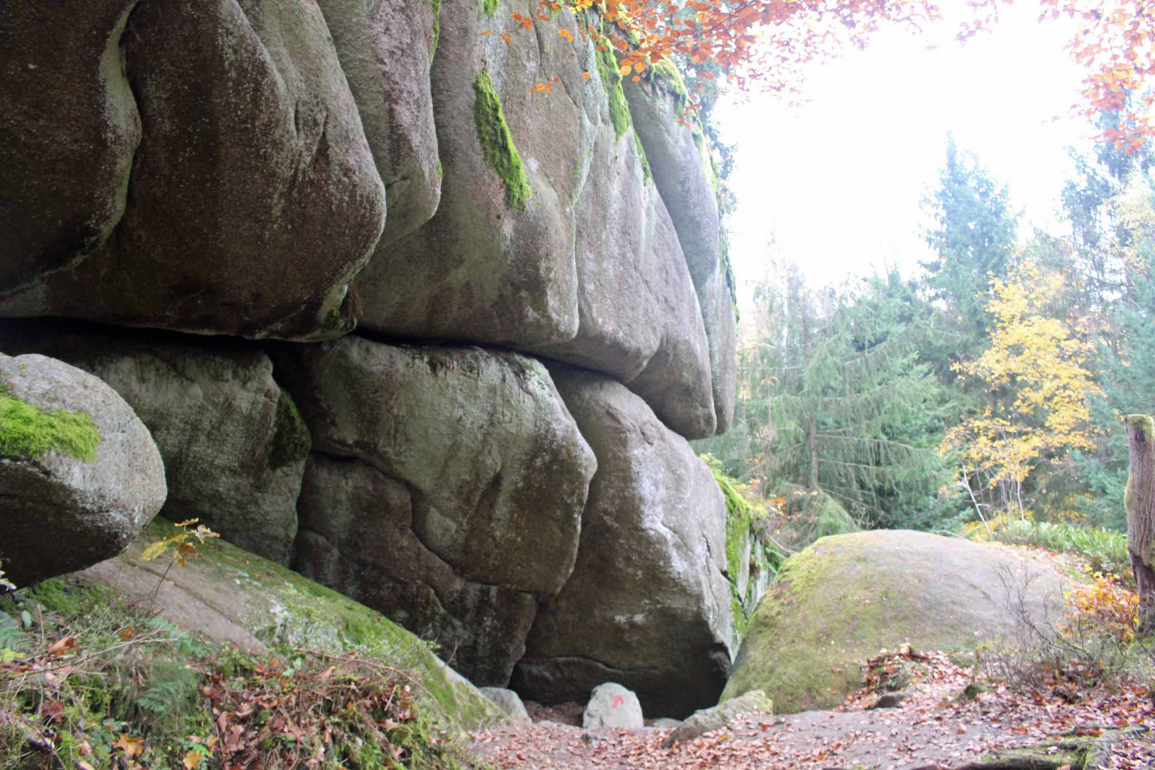 Forêt de Luisenburg