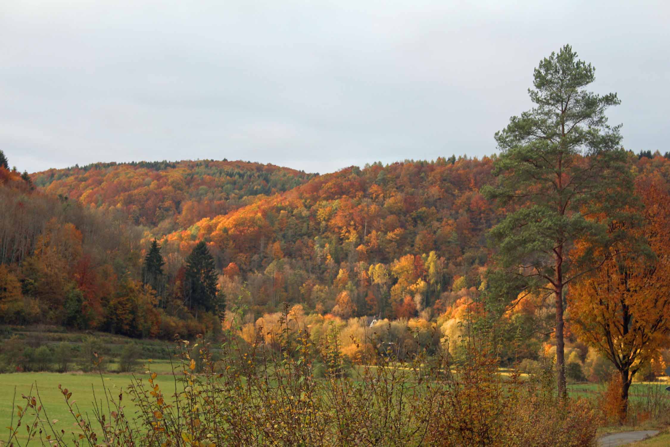 Vallée de Wiesent, automne