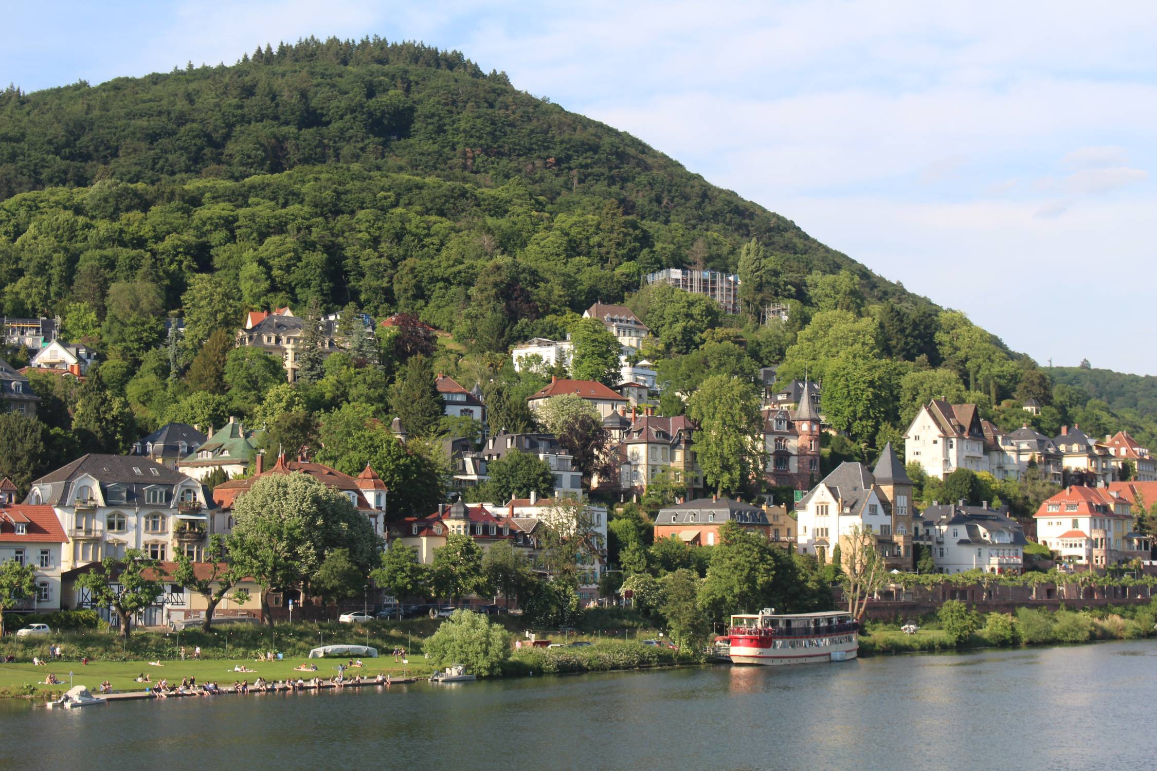 Heidelberg, Neckar, maisons