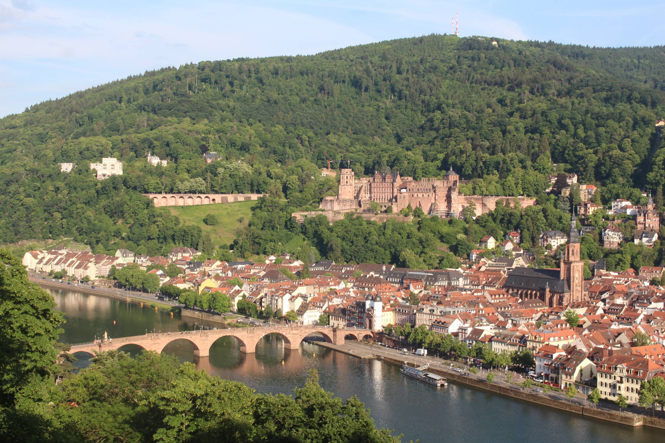 Heidelberg, panorama