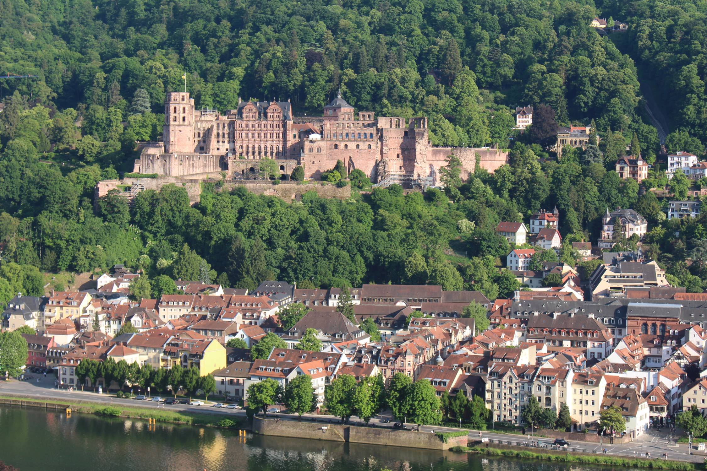 Heidelberg, ch&acirc;teau, maisons