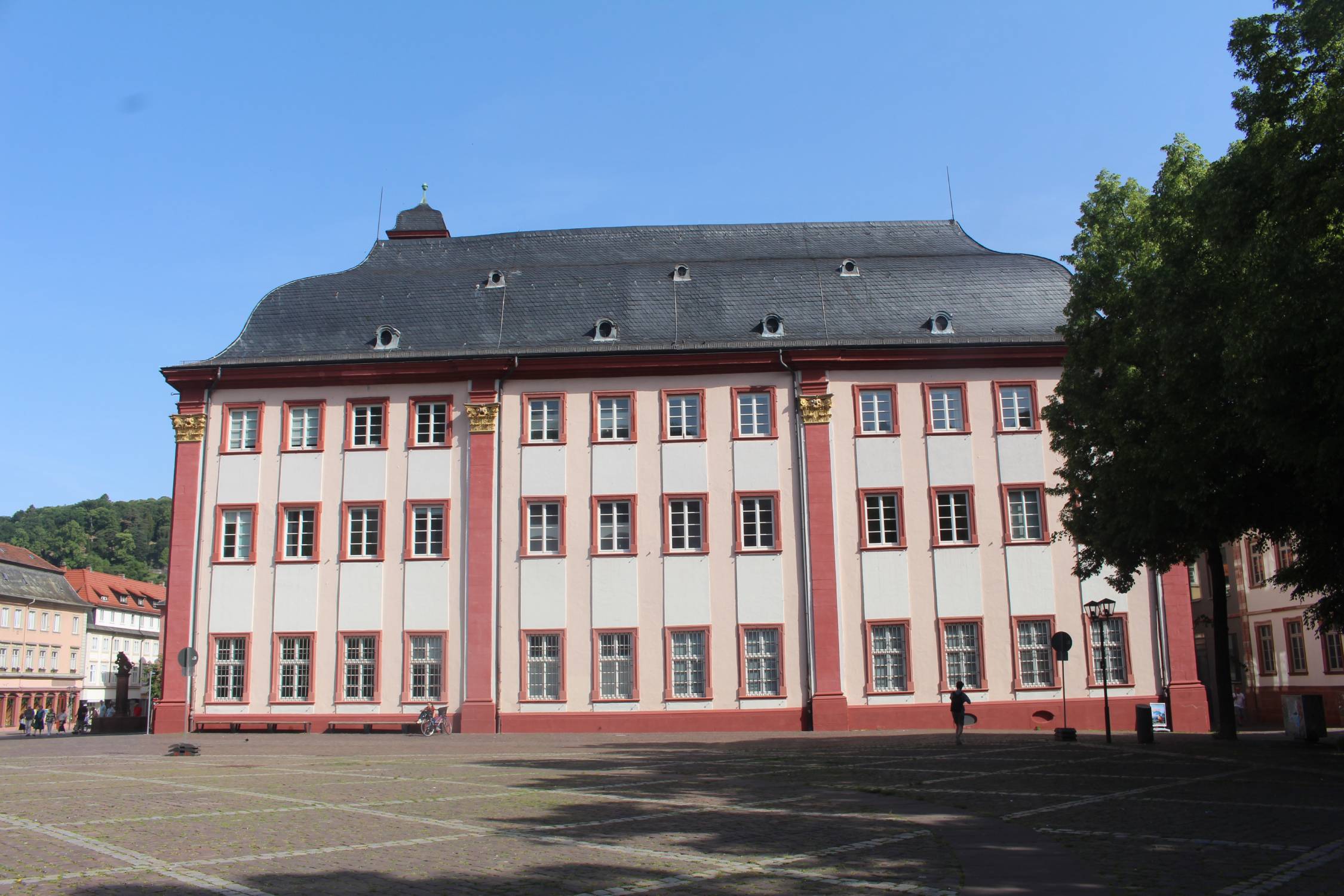 Heidelberg, universit&eacute;