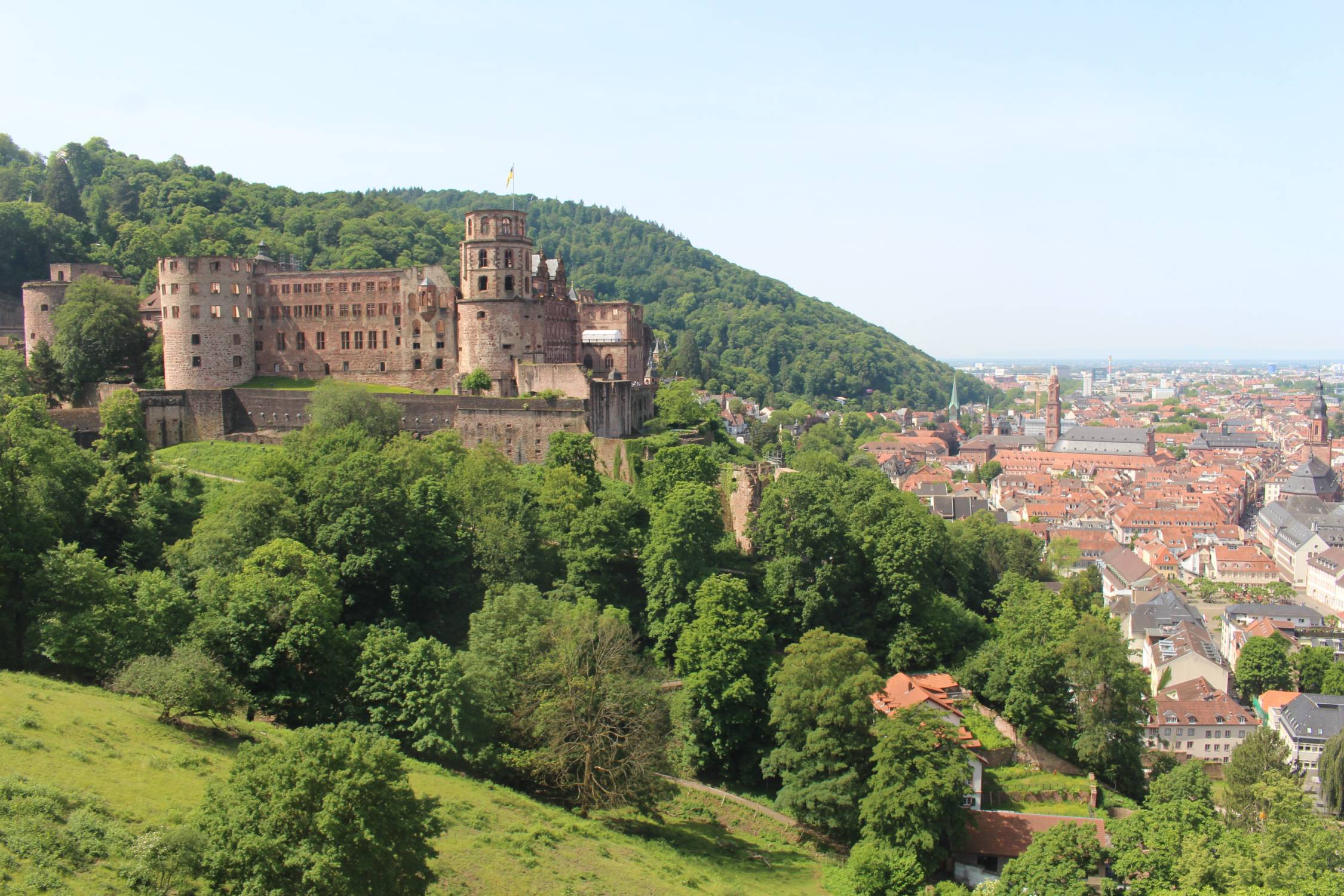 Ch&acirc;teau de Heidelberg