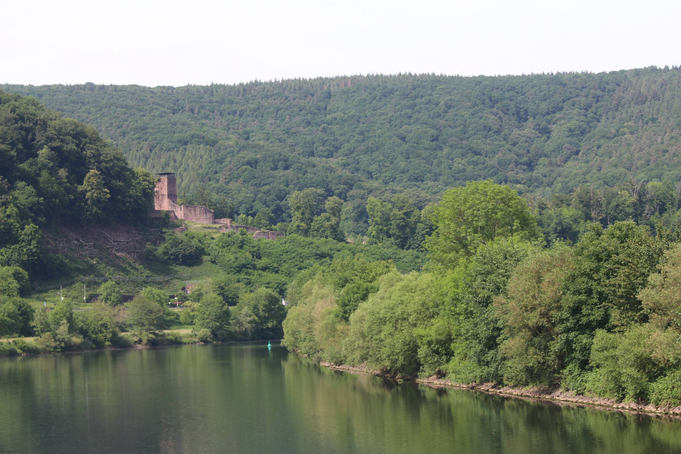 Heidelberg, Neckar, paysage
