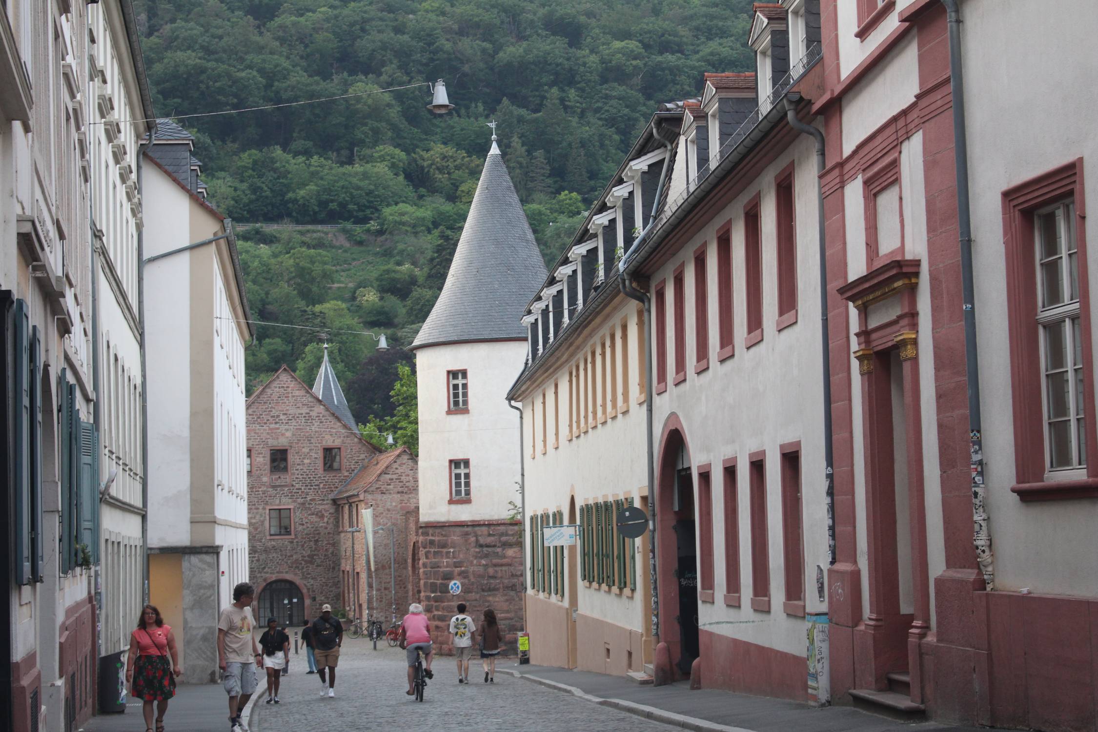 Heidelberg, &eacute;curies, tour