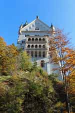 Neuschwanstein et le cygne