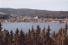 Lac de Titisee