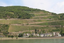 Le Rhin &agrave; Assmannshausen