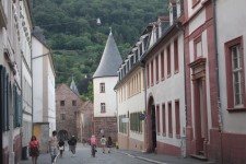 Tour des &eacute;curies de Heidelberg