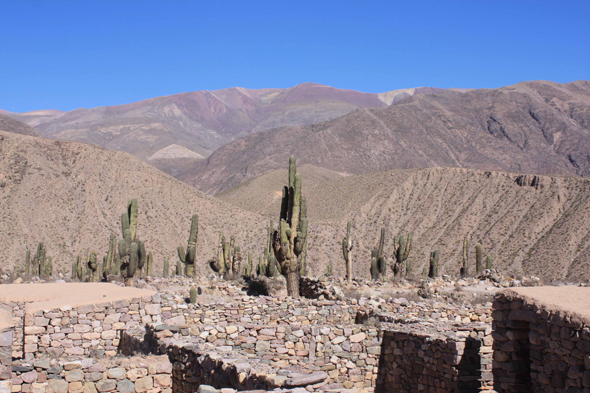 Le village fortifié de Pucará de Tilcara