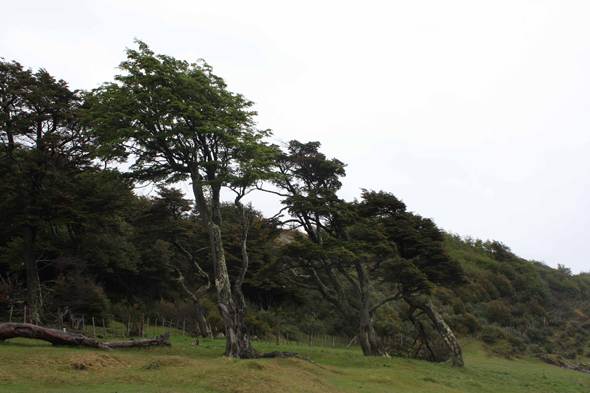 La Terre de Feu, Tierra del Fuego