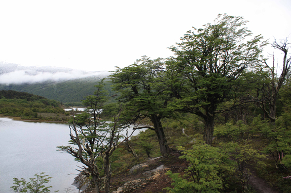 Ushuaia, Tierra del Fuego, Argentine