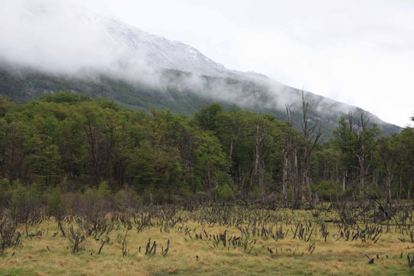 Tierra del Fuego, Argentine, Terre de Feu