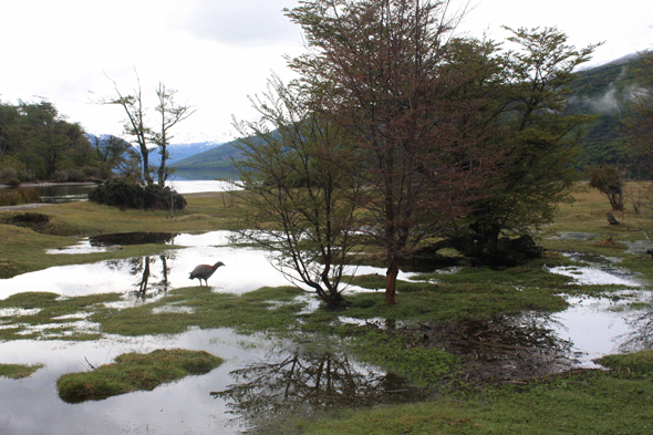 Ushuaia en Argentine et la Tierra del Fuego