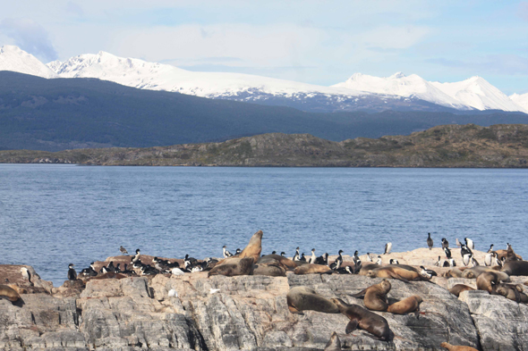 Canal de Beagle, Argentine