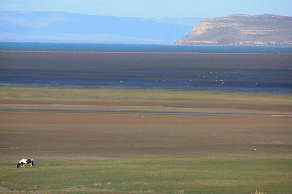 Le parc national de Lago Argentino