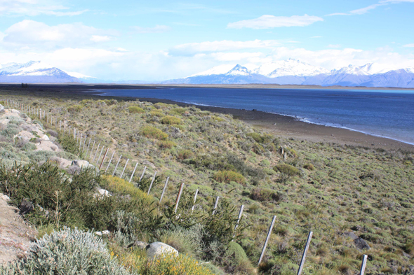 Lago Argentino, paysage